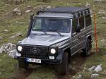 Mercedes-Benz G300 CDI Professional 2010 года